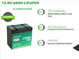 Литий-ионная аккумуляторная батарея 30 В 6ah 12 В 24 В 36 В 48 В 72 В 10ah 20ah 30ah 40ah 50ah 60ah 80ah 100ah 120ah 150ah 200ah 250ah солнечной энергии - Product Image 3