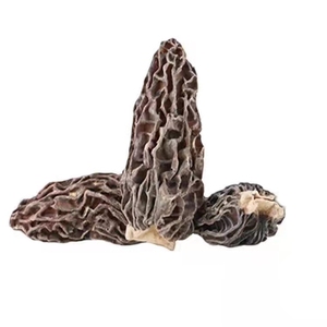 Hongos Morchella Esculenta Silvestres Secos de Yunnan, Grado A, a Granel, Enteros o en Rodajas, Premium, para Restaurantes Gourmet, OEM - Product Image 5