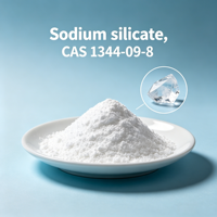 Silicate de sodium CAS 1344-09-8 99% Na2SiO3 Poudre de silicate de sodium de qualité cosmétique