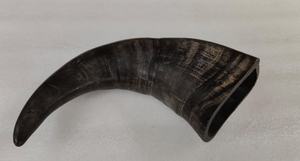 Auténtico Cuerno de Shofar de Kudu Pulido, Ecológico y Hecho a Mano con Diseño Animal de la India para Decoración del Hogar, Venta al por Mayor - Product Image 6