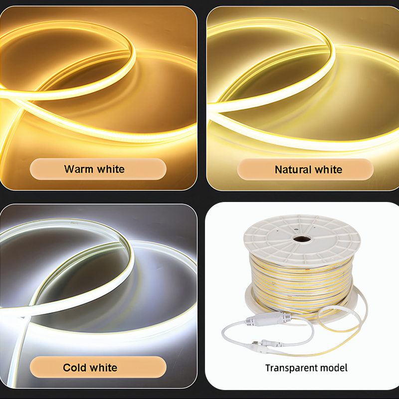 Modelo transparente (100M/Rollo)