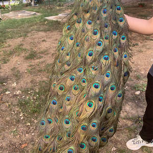 A-258 Elegant Podium Showcase Handgemaakte Gesimuleerde Kleurrijke Veren Pauw Grote Pauw Vogel Voor Tuin Decor - Product Image 3