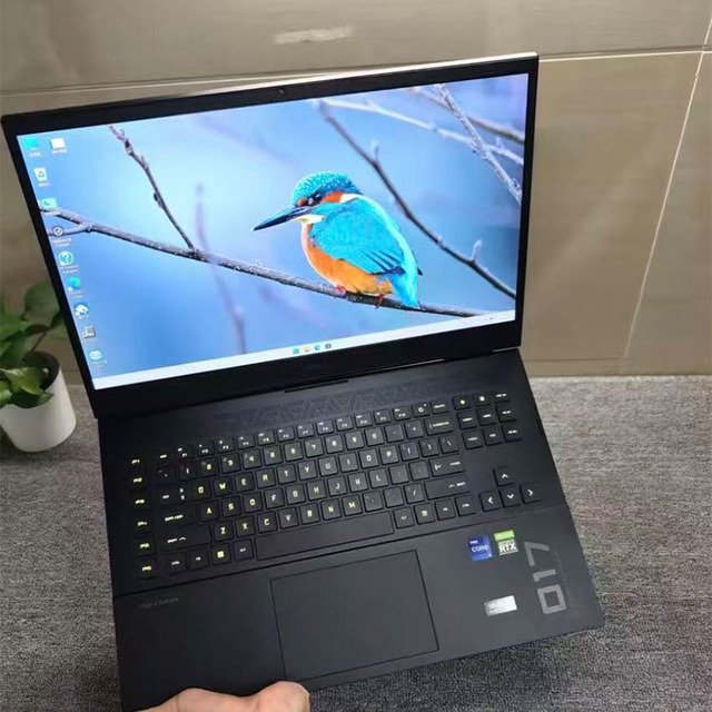 95 Brand New H-P OMEN 7 Plus I7-11th 16GB RAM 512GB SSD GTX3060 (6G) 17.3-inch H-P Shadow Genie Quality Gaming Laptop