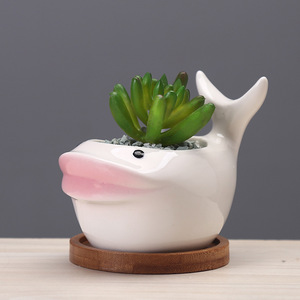 Design moderne transfrontalier pour <span class=keywords><strong>Amazon</strong></span> <span class=keywords><strong>Pot</strong></span> <span class=keywords><strong>de</strong></span> <span class=keywords><strong>fleur</strong></span> charnu intérieur série océan dessin animé <span class=keywords><strong>Pot</strong></span> <span class=keywords><strong>de</strong></span> plante en céramique approvisionnement créatif - Product Image 2