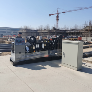 Khuyến mãi nóng: Máy phát điện diesel công suất 200KW 250kva, kiểu mở/âm thanh thấp, sản xuất tại nhà máy Trung Quốc, đang bán - Product Image 1