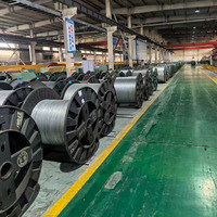 Alambre de Acero Revestido de Aluminio Estándar ASTM B502 de 3.5 mm, Alambre ACS para Cable de Alimentación