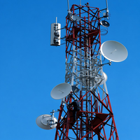 Tour de télécommunication Shenghong pour la transmission de signal 5G/4G en extérieur, norme TIA-222-G/ANSI, durée de vie supérieure à 50 ans
