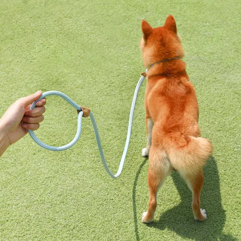 High Quality Dog Supplies Pet Accessories Dogs Leash Rope Adjustable Luxury Tough Safe Training Braided Dog Leash
