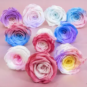 Factory Wholesale Blue And White Gradient Color Preserved Flower DIY Flower Material Immortal Rose Head Grade A