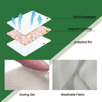 Produit tendance Patch de refroidissement pour douleurs musculaires Matériau à base d'herbes Apaiser le cou et le bois