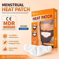 TheMoreCare Produits Populaires Personnalisés Chauffe-Douleurs Menstruelles pour Femmes Coussin Chauffant de Soulagement des Crampes