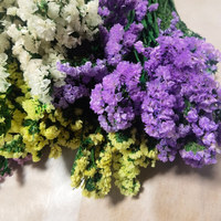 Arrangement de fleurs naturelles préservées - Myosotis Sylvatica, Statice Limonium - Décorations de mariage d'intérieur