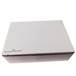 Gelsonlab HSBS-006 educativos no <span class=keywords><strong>serpiente</strong></span> venenosa esqueleto incluidas muestras biológicas - Product Image 6