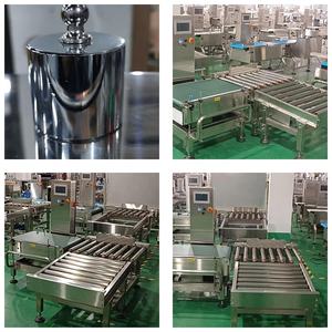 自动工厂304SS型号DW300盐糖粒检重秤 - Product Image 6