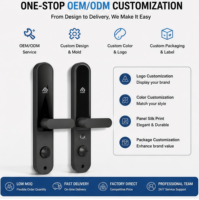 Serrure intelligente personnalisable OEM pour hôtel avec carte et clé, Wi-Fi intégré, 4 piles AA, pour portes en bois/acier/métal, appartements/gastres