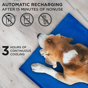 Waterproof <b>Large</b> Recyclable Summer Cat & Dog Cooling <b>Mat</b> with PVC Nylon Print Design-No Need to Freeze - Product Image 5
