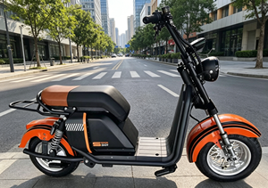 Feiwo Ss701 Versión Brasileña |   Scooter Inteligente de Largo Alcance de 2000w 60v 20ah, 3 Velocidades, Capacidad de 200kg, Ss701, Potencia de 2000w - Product Image 6