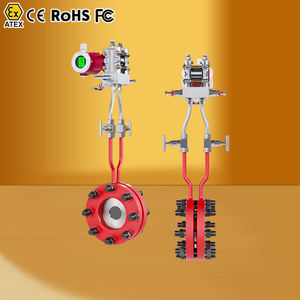 Medidor de Flujo de <span class=keywords><strong>Gas</strong></span> Natural, Controlador de Flujo de <span class=keywords><strong>Gas</strong></span>, Medidor de <span class=keywords><strong>Gas</strong></span> Natural en Línea, Medidor de Flujo de Oxígeno, Precio - Product Image 1