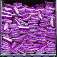 Lessive en poudre super brillante OEM en sacs de 25 kg et 50 kg, boîtes de 2,5 kg, en vrac, à forte mousse
