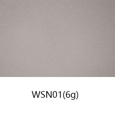 WSN01(6g)