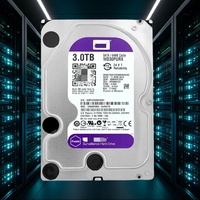 WD30PURX 3TB SATA 6Gb/s 5400 RPM 64MB 512e 3.5 inci Hard Disk Drive Ungu untuk Sistem Penyimpanan NVR DVR