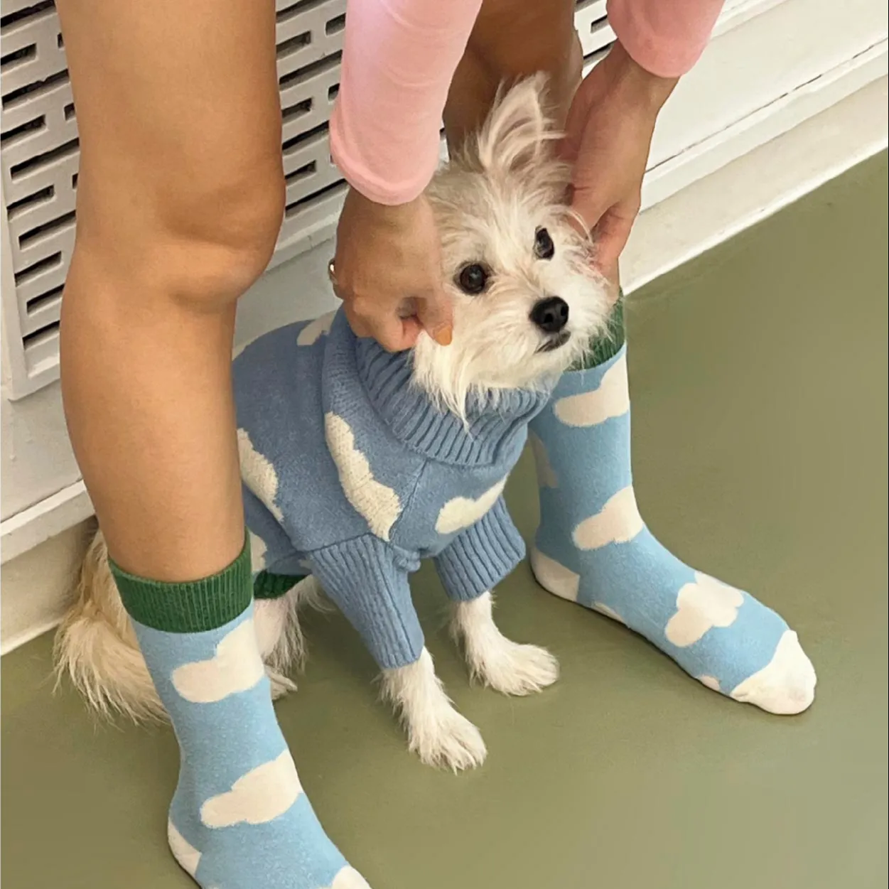 VSCOO 2023, suéteres azules personalizados para mascotas, patrón de nubes, Jersey de punto para mascotas, suéter para perros y gatos