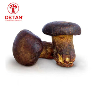 DETAN Exporta Hongos Frescos de la Espécie Wild <span class=keywords><strong>Boletus</strong></span> Pornici - Product Image 3