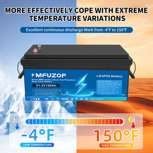 US EU <span class=keywords><strong>PL</strong></span> Lager Lifepo4 Akku 48V 51,2V 100Ah LiFePO4 Tiefzyklus-Batterie für Wohnmobile Golf Lithium-Ionen-Akkupack Heimenergie - Product Image 4
