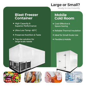 Chambre froide mobile industrielle écologique facile à utiliser pour le stockage du porc et de la crème glacée - Product Image 4