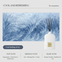Diffuseur de parfum d'ambiance haut de gamme en verre sans BPA, écologique, 100 ml, vente en gros, huile essentielle, désodorisant d'air