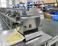 Zware professionele elektrische groentesnijmachine van roestvrij staal, gemotoriseerd, voor aardappelen, uien, citroenen, fruit en voedsel.