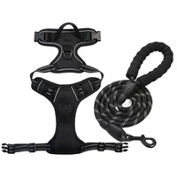 Laisse Classique Amovible pour Chiens de Grande et Moyenne Taille en Polyester avec Conception Poitrine-Dos, Cheveux Droits, 5m