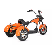Triciclo eléctrico de tres ruedas, 1000w
