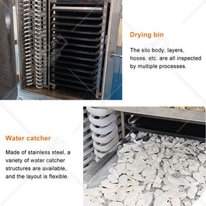 MY Industrial Machine de lyophilisation par congélation et <span class=keywords><strong>condensation</strong></span> pour café et fleurs, 50kg 200kg, Prix - Product Image 4