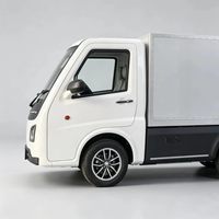 Camionnette à cabine fermée Runhorse, volant de direction, mini quadricycle, fourgonnette électrique, batterie au lithium, MPV pour adultes, COC UE, mini camion