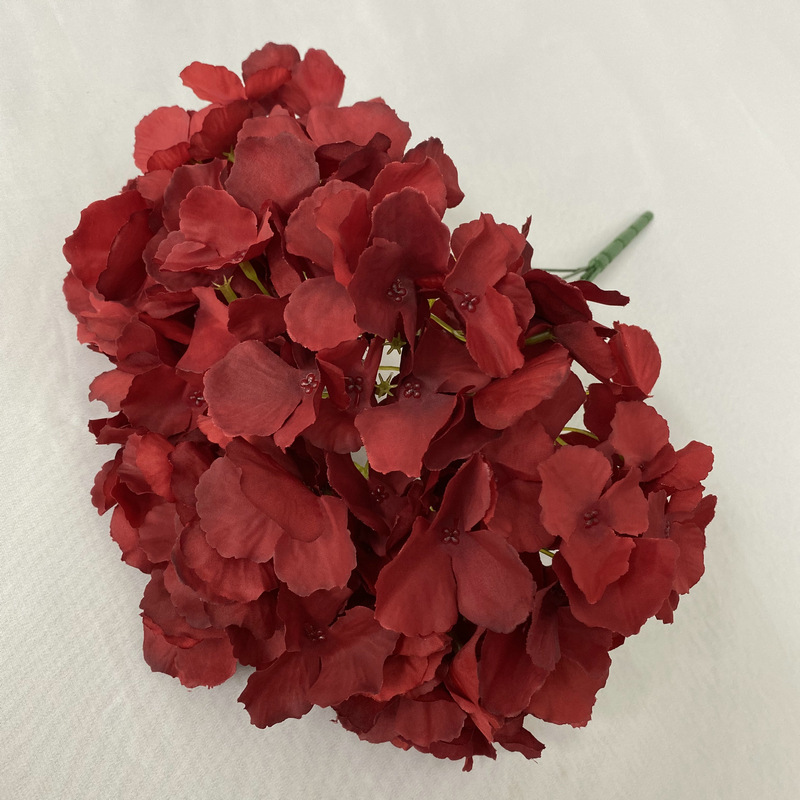 5 hortensias sans feuilles
