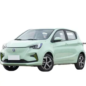 Changan Benben E-star Changan-Benben E Star Qinxin Dd 2020 2022 Ev Termurah Mobil Mini Elektrik 4 Tempat Duduk