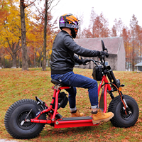 Scooter électrique pour animaux de compagnie avec moteur de moyeu de 1500 W, scooter électrique rapide pour adultes, cyclomoteur électrique L1e-b