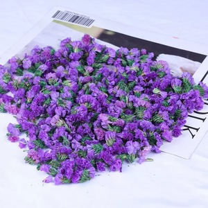 Capullos de Flores Secas Blancas Puras de Alta Calidad, 1 kg/bolsa, Cabezas de Flores de No <span class=keywords><strong>Me</strong></span> Olvides Preservadas para Manualidades, Decoración de Fiestas, Confeti de Boda - Product Image 4