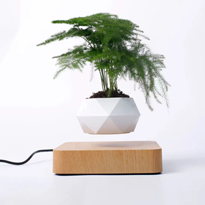 <span class=keywords><strong>Maceta</strong></span> de levitación magnética, <span class=keywords><strong>maceta</strong></span> <span class=keywords><strong>flotante</strong></span> para decoración del hogar - Product Image 1