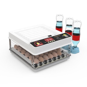 Incubatrice automatica completa di 70 uova di buona qualità per pollo, quaglia, uova d'anatra - Product Image 1