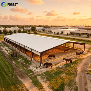 Nave Industrial Modular Prefabricada Resistente al Viento con Estructura de Acero para Fábrica, Almacén, Textil, Agricultura y Taller con Vigas en H - Product Image 1
