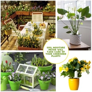 Monitor Inteligente para el Cuidado de Plantas con Sensores en Tiempo Real para Fertilidad, Nivel de Humedad, Luz y Temperatura - Product Image 5