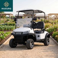 Voiturette de golf tout-terrain deux places, 4 roues, frein hydraulique, homologuée pour la route, buggy électrique avec éclairage LED, couleur personnalisée disponible