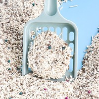 Litière pour chat mélangée à base de tofu, mélange premium de tofu et de bentonite, désodorisante, faible teneur en poussière, non collante, fond non collant