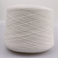 Fil 100% Polyester Filé à Anneaux 30/1 40/1 Écologique S-Twist pour Broderie Tricot Couture Motif Teint Fil 40S