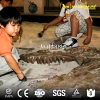 Réplique de fossile de dinosaure Protoceratops et Velociraptor