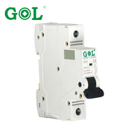 Interruptor Automático Miniatura (MCB) Monofásico/Bifásico de 220V CA 40A con Capacidad de Ruptura de 10KA