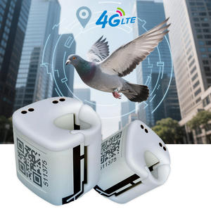 Mini traceur GPS en temps réel pour oiseaux, étanche, bague de course pour pigeons, perroquet, <span class=keywords><strong>aigle</strong></span>, puce de suivi GPS 4G, bague de pied pour oiseaux - Product Image 1