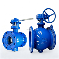 Vanne à molette manuelle excentrique à engrenage à vis sans fin PN16 à brides en fonte ductile avec joint PTFE pour pipeline de traitement de l'eau DN50-DN200